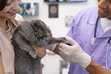 Фото компании  Ветеринарный центр "Балу" 16