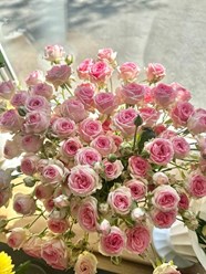 Фото компании  Без посредников 96 19