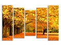 Модульная картина Осенние деревья, m0154 - под заказ, общим размером от 100х70см. Детали и актуальная цена - на сайте: https://kartiny.in.ua/modulnye-kartiny/nature-2
