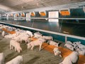 Фото компании ООО Ставропольский комбинат ЖБИ 6
