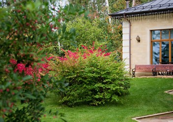 Фото компании  Primula 4