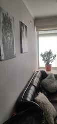 Фото компании  AlmaSpace 1