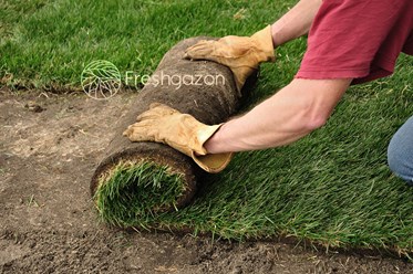 Freshgazon укладка рулонного газона от производителя под ключ.