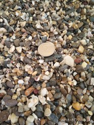 Фото компании ООО Камень из Крыма 24