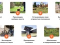 Фото компании  ГК Пересвет 1