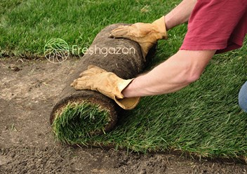 Freshgazon укладка рулонного газона от производителя под ключ.