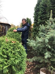Фото компании ИП Магазин садовых деревьев и кустарников из питомника 1