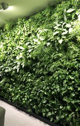 Фото компании  Botanic balance 9