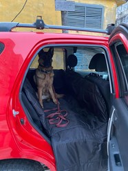 Фото компании Самозанятый Пес в пальто 20