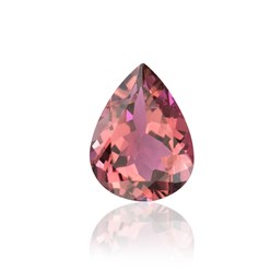 Фото компании ООО Супер Джемс (Super Gems) 65