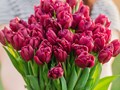 Фото компании ИП Серпуховский Цветочник 3