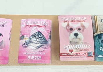 Печать стикеров и флаеров для открытия груминг-салона в Ростове-на-Дону