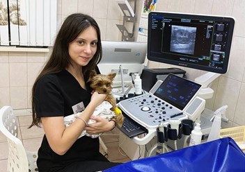 Фото компании  Ваш-ветврач 6