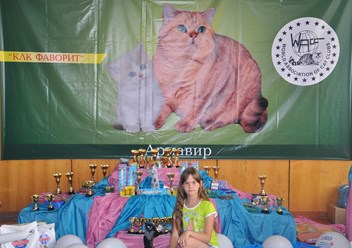 ФАВОРИТ | Клуб Любителей Кошек