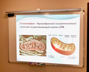 Презентации к каждому занятию. Каждый кабинет оборудован качественным проектором, ноутбуками, досками с антибликовым покрытием.