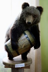Фото компании ООО Корзу Тревел 4