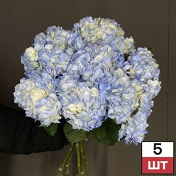 Фото компании  Не Букет 17