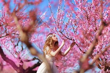 Фото компании ООО Trip&Love 10