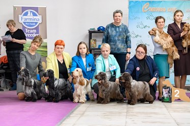 Фото компании  Iriskisdogs 5