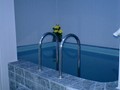 Фото компании  ДИАНА, сауна 4