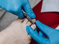 Фото компании  СтопаВед 5