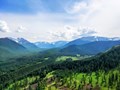 Фото компании  Алтайские Корни 6