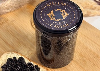 Фото компании  Stellar Caviar 2