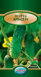 Урожайные хрустящие огурцы!