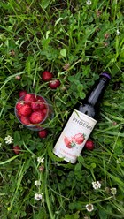 Медовуха клубника White Phoenix