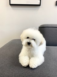 Фото компании  Grooming Hall 3