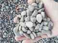 Фото компании  Песок, грунт, гравий, щебень в Рузе и Можайске 5