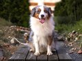 Фото компании  Oso de Miel 1