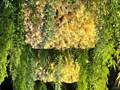 Фото компании ООО Кот на бочке 6