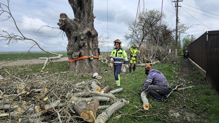 Фото компании  Drevanet 2