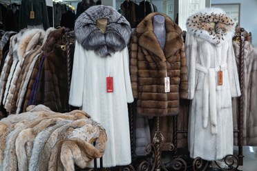 Фото компании  Меховая фабрика "Эдита" 7