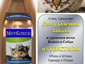 Запах мочи 
с одеяла убрать, 
средство МурБлеск
Поможет опять!