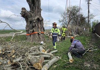 Фото компании  Drevanet 2
