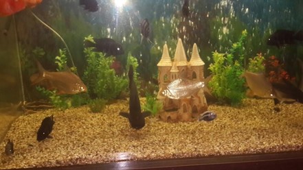 Фото компании  Сим Сити, ресторан 27