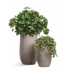 Фото компании  Зеленый Дворик 8