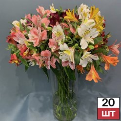 Фото компании  Не Букет 21