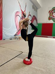 Фото компании  Всероссийская сеть детских спортивных школ по художественной гимнастике и спортивной акробатике «FD» Дмитровская 7
