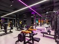 Фото компании  DDX Fitness 5