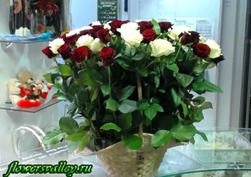 Корзинка из красной и белой розы