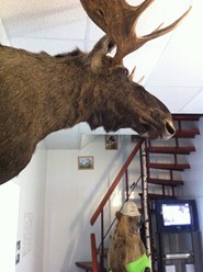 Фото компании  Русская Охота 1