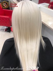 Фото компании  Дикая Орхидея 11