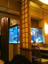 Фото компании  Евразия, сеть ресторанов и суши-баров 15