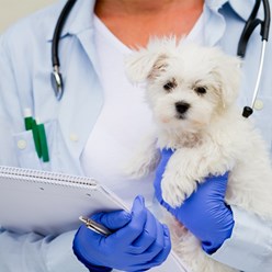 Фото компании  Ася 3