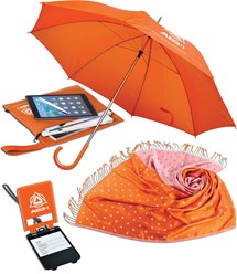 ...И в дождь и в зной...
Сумка для документов или планшета, платок или шарф, зонт с логотипом, бирка с логотипом.