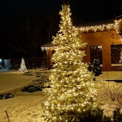 Мы можем украсить дерево гирляндами Челябинск.