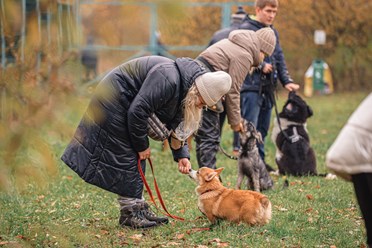 Фото компании  Ново-Переделкино 1